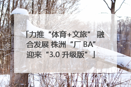 力推“体育+文旅” 融合发展 株洲“厂 BA”迎来“3.0 升级版”