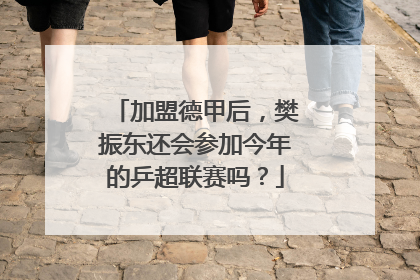 加盟德甲后，樊振东还会参加今年的乒超联赛吗？