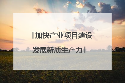 加快产业项目建设 发展新质生产力