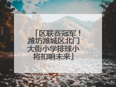 区联赛冠军！潍坊潍城区北门大街小学排球小将扣响未来
