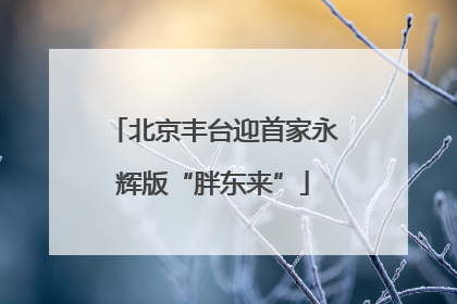 北京丰台迎首家永辉版“胖东来”