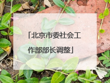 北京市委社会工作部部长调整
