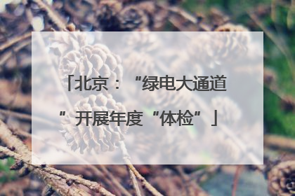 北京：“绿电大通道”开展年度“体检”