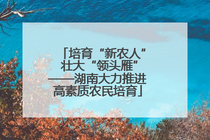 培育“新农人” 壮大“领头雁”——湖南大力推进高素质农民培育