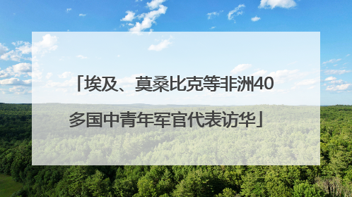 埃及、莫桑比克等非洲40多国中青年军官代表访华
