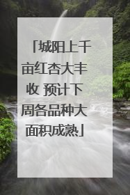 城阳上千亩红杏大丰收 预计下周各品种大面积成熟