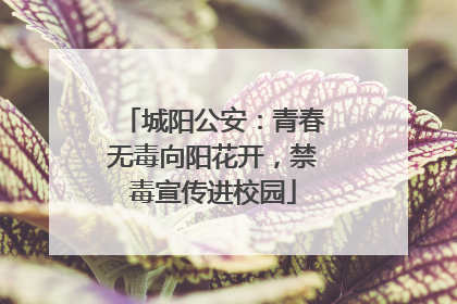 城阳公安：青春无毒向阳花开，禁毒宣传进校园