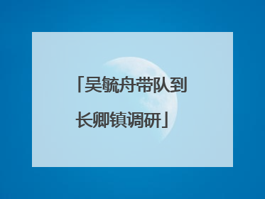 吴毓舟带队到长卿镇调研