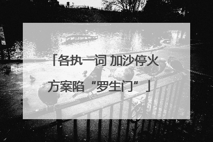 各执一词 加沙停火方案陷“罗生门”