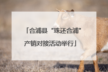 合浦县“珠还合浦”产销对接活动举行