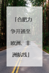 合肥力争开通至欧洲、非洲航线