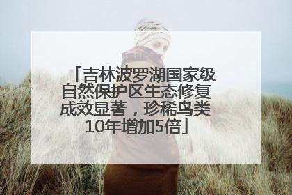 吉林波罗湖国家级自然保护区生态修复成效显著，珍稀鸟类10年增加5倍