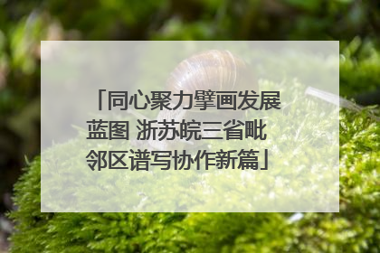 同心聚力擘画发展蓝图 浙苏皖三省毗邻区谱写协作新篇