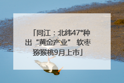 同江：北纬47°种出“黄金产业” 软枣猕猴桃9月上市