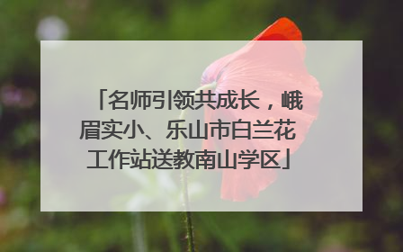 名师引领共成长，峨眉实小、乐山市白兰花工作站送教南山学区