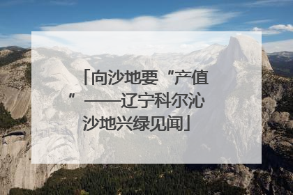 向沙地要“产值”——辽宁科尔沁沙地兴绿见闻