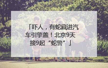 吓人，有蛇藏进汽车引擎盖！北京9天接9起“蛇警”