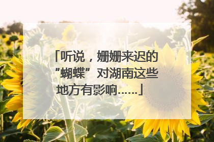 听说，姗姗来迟的“蝴蝶”对湖南这些地方有影响……
