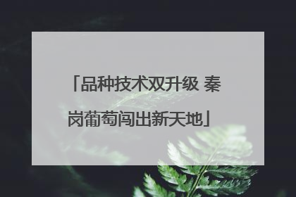 品种技术双升级 秦岗葡萄闯出新天地