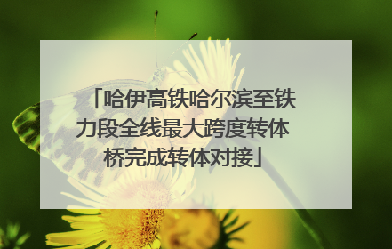 哈伊高铁哈尔滨至铁力段全线最大跨度转体桥完成转体对接