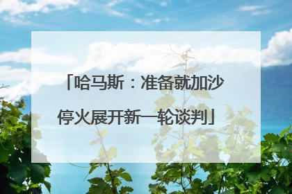 哈马斯：准备就加沙停火展开新一轮谈判