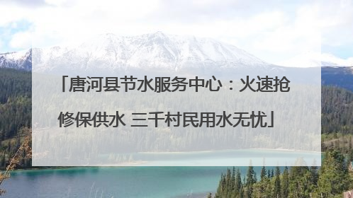 唐河县节水服务中心：火速抢修保供水 三千村民用水无忧