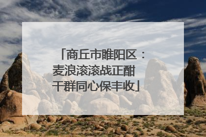 商丘市睢阳区：麦浪滚滚战正酣 干群同心保丰收