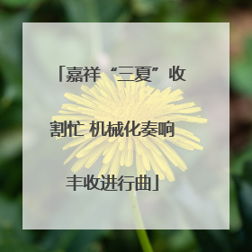 嘉祥“三夏”收割忙 机械化奏响丰收进行曲