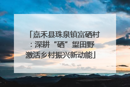 嘉禾县珠泉镇富硒村：深耕“硒”望田野 激活乡村振兴新动能