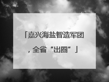 嘉兴海盐智造军团，全省“出圈”