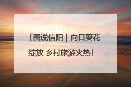 图说信阳｜向日葵花绽放 乡村旅游火热