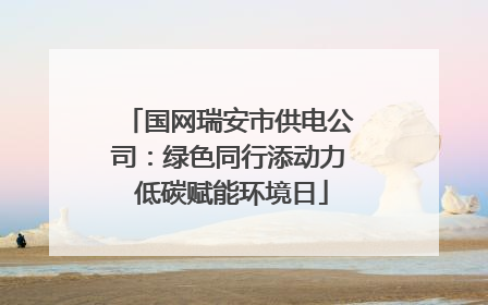 国网瑞安市供电公司：绿色同行添动力 低碳赋能环境日