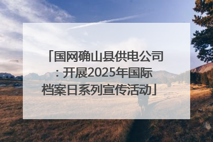 国网确山县供电公司：开展2025年国际档案日系列宣传活动