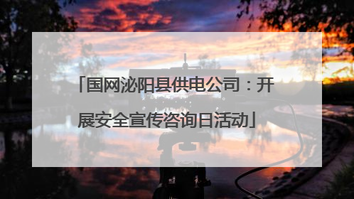 国网泌阳县供电公司：开展安全宣传咨询日活动