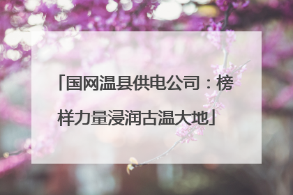 国网温县供电公司：榜样力量浸润古温大地