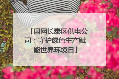 国网长泰区供电公司：守护绿色生产赋能世界环境日