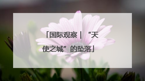 国际观察｜“天使之城”的坠落