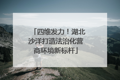 四维发力！湖北沙洋打造法治化营商环境新标杆