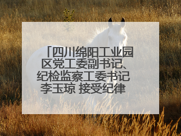 四川绵阳工业园区党工委副书记、纪检监察工委书记李玉琼 接受纪律审查和监察调查