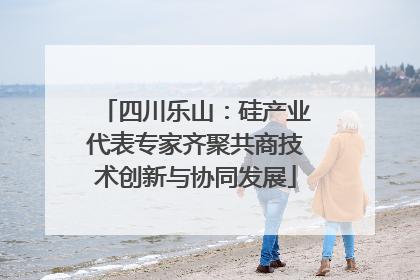 四川乐山：硅产业代表专家齐聚共商技术创新与协同发展