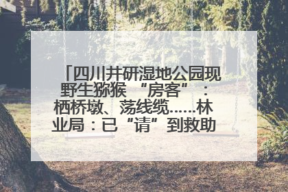 四川井研湿地公园现野生猕猴 “房客”：栖桥墩、荡线缆……林业局：已“请”到救助站，将放归自然
