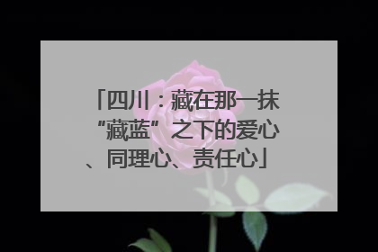 四川：藏在那一抹“藏蓝”之下的爱心、同理心、责任心
