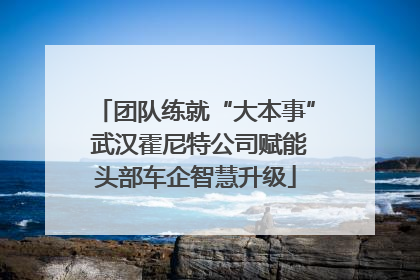 团队练就“大本事” 武汉霍尼特公司赋能头部车企智慧升级