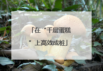 在“千层蛋糕”上高效成桩