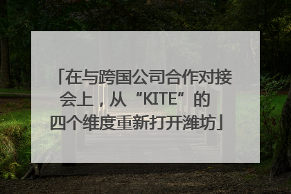 在与跨国公司合作对接会上，从“KITE”的四个维度重新打开潍坊