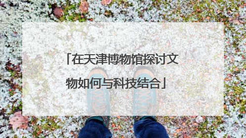 在天津博物馆探讨文物如何与科技结合