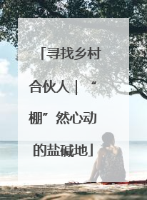 寻找乡村合伙人｜“棚”然心动的盐碱地