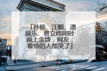 孙杨、汪顺、潘展乐、费立纬同时戴上金牌，网友：看懂的人都哭了