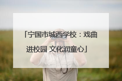 宁国市城西学校：戏曲进校园 文化润童心