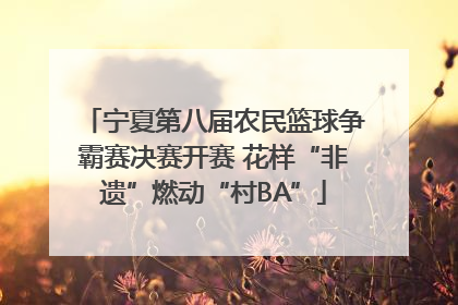 宁夏第八届农民篮球争霸赛决赛开赛 花样“非遗”燃动“村BA”